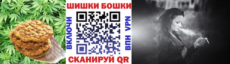 Купить где  Первомайск  Canna-Cookies марихуана 