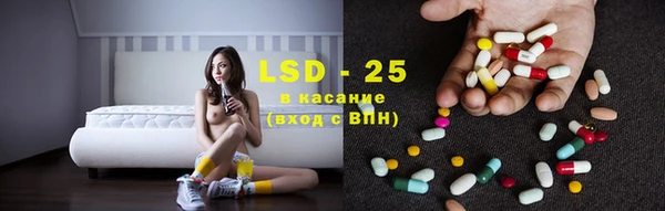 стафф Михайловск