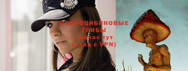 стафф Михайловск