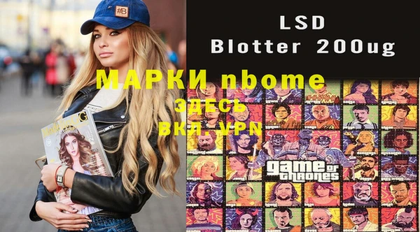 стафф Михайловск