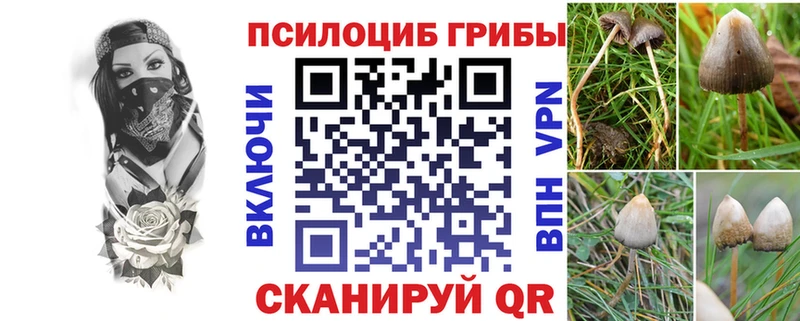 Купить закладки  Первомайск  Псилоцибиновые грибы GOLDEN TEACHER 